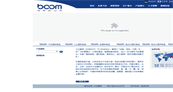 Desktop Screenshot of cn.boomrubber.com